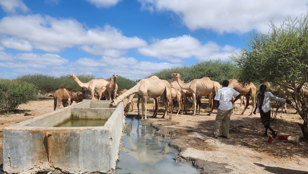kamuthe-first-community-in-kenya-to-officially-register-community-land