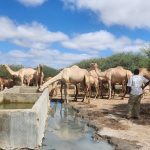 kamuthe-first-community-in-kenya-to-officially-register-community-land