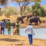 Elephants-Conservation - Kamuthe-Conservancy-ranger-training