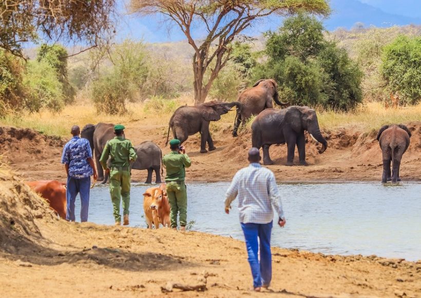 Elephants-Conservation - Kamuthe-Conservancy-ranger-training