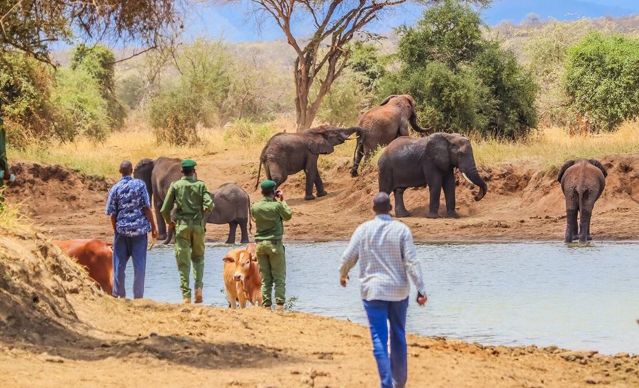 Elephants-Conservation - Kamuthe-Conservancy-ranger-training